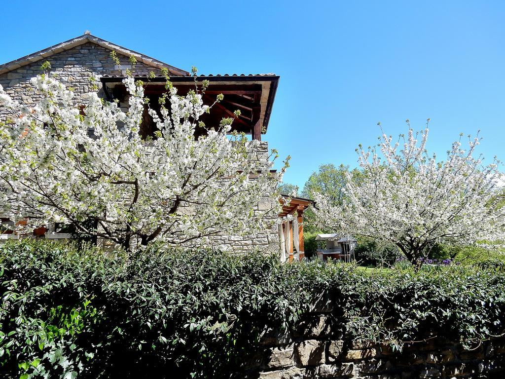 Holiday Home Casa Dei Farfui Momjan Εξωτερικό φωτογραφία
